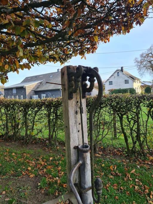 Haus Paesch Nahe See Mit Beheiztem Whirlpool/Sauna Butgenbach Buitenkant foto